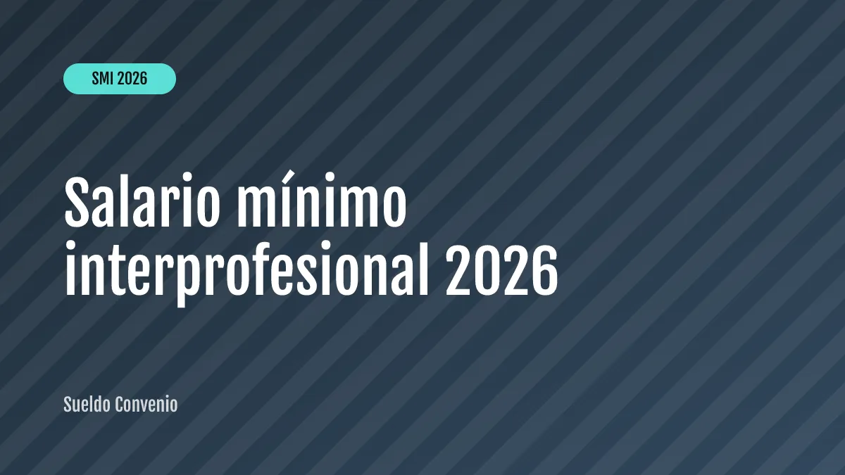 Salario mínimo interprofesional 2026